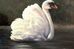 IMG_0480-scaled