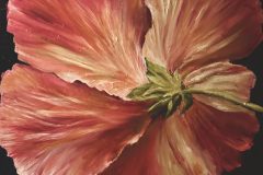 Back-PetalsJPG-scaled